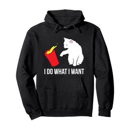 Love Cats Funny Cat Pullover Hoodie