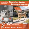 KELPFU Advanced Hip & Joint Supplement for Dogs –120 Chews