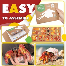 Tapwish 3D Paper Puzzle Educational Toys for Kids Ages 4-8, Preschool DIY Craft Learning Toys, Birthday Gifts for Boys and Girls (Hermit Crab, 79pcs)