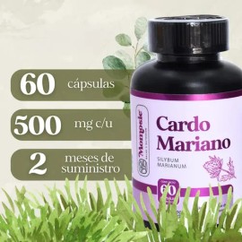 Cardo Mariano 60 Cápsulas 500mg  Suplemento Natural Apoyo Hepático Desintoxicación  Silimarina  Milk Thystle  Momosie                                 