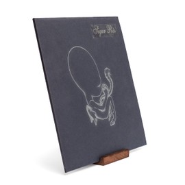 KAIU Premium Vinyl Record Stand - Showcase Your Now Playing Album Cover - Minimalistic & Elegant Holder Design- Compatible with All CDs & LPs