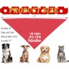 Bandana para perro del día de San Valentín, bufanda roja