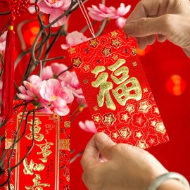 Winlyn 120 Pcs 6 Designs Chinese Hong Bao Lucky Money Envelopes Asian Red Envelopes Red Packets Lai See Packet Cash Envelopes Red Pockets for Lunar New Year Wedding Birthday Year of the Snake 2025