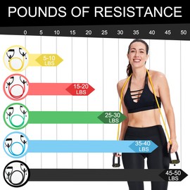 Resistance Bands with Handles, Exercise Resistance Bands, Workout Bands with Door Anchors, Adjustable Length, for Resistance Training, Physical Therapy, Home Workouts (Green (Medium))