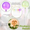 Maxdot 6 Pcs Large Plant Watering Globes Glass Automatic Self