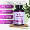 Momosie | Cardo Mariano | Extracto de Silimarina | Milk