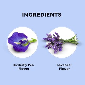 BLUE TEA - Butterfly Pea Flower Tea - Lavender - 30 Count - Pyramid Plant Based Tea Bag | ANTIOXIDANT RICH | Flower Based - Herbal Tea - Caffeine Free - Detox Tea | Tin Packaging