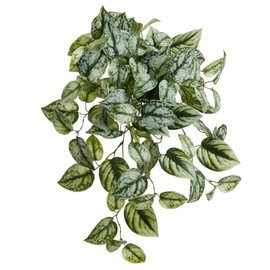 16" Pothos Exotica Leaf Silk Hanging Plant -Green/Gray (Pack of 6)