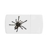 'Hairy Tarantula' Pill Box with Tablet Splitter (PI00031727)