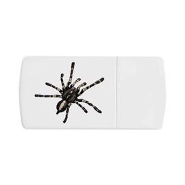 'Hairy Tarantula' Pill Box with Tablet Splitter (PI00031727)
