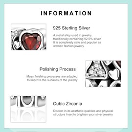 Erizteya 925 Sterling Silver Charms for Bracelets Necklaces, Elephant Mom Infinite Love Heart Pendant Beads, Family Safety Chain Clip Pendant Jewellery Gift for Women, Cubic Zirconia Silver, Zircon