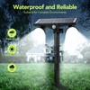 Paktonvo 2Pack Solar Lights Outdoor Waterproof, 6000K Ultra Bright，2 Lighting