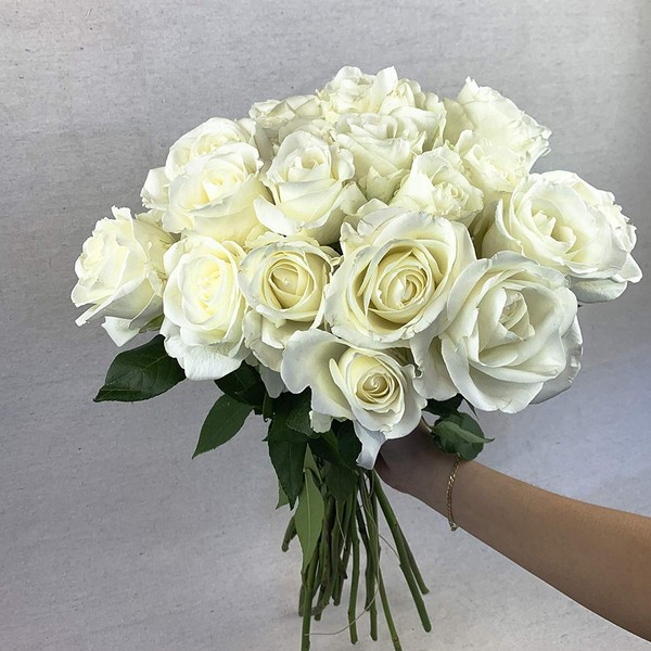Greenchoice Flowers Fresh Bouquet | 24 White Roses | Fresh Cut Flowers Directly from Our Farm | Valentines Day | Birthday Flowers (2 Dozen / 20" Long Stems)