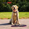 Dog Collar and Leash Set, Bungee Heavy Duty Adjustable Dogs