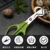 Quail Egg Cutter, Stainless Steel, Quail Egg Scissors, Quail Egg