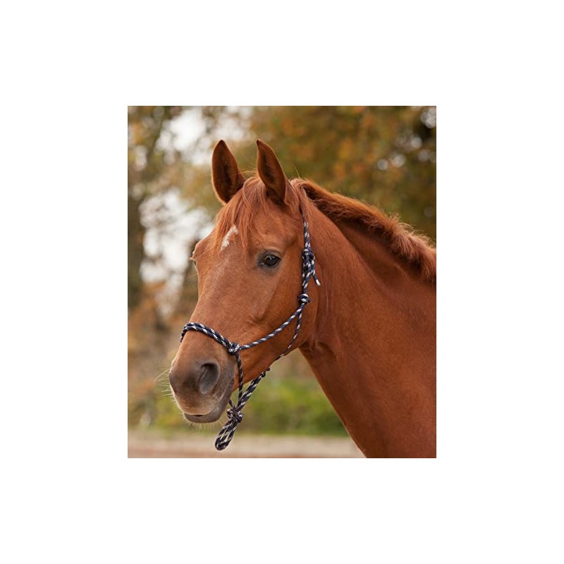 WALDHAUSEN Knotenhalfter, nachtblau/silber, VB, nachtblau/silber, Vollblut