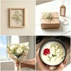 100Pcs Baby’s Breath Flowers, White Gypsophila for Wedding
