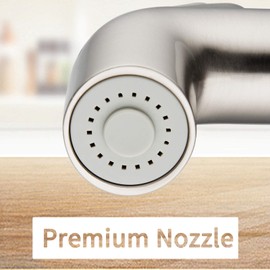 Houtingmann Kitchen Side Sprayer with Hose and Holder - Sprayer with 17 Adapters, Brushed Nickel