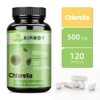 Chlorella 500mg 120 Tablets - Antioxidant Strengthens immunity and supports healthy organ function, 1 pack / 클로렐라 500mg 120정 - 항산화 면역력 강화 및 건강한 장기 기능 지원, 1개