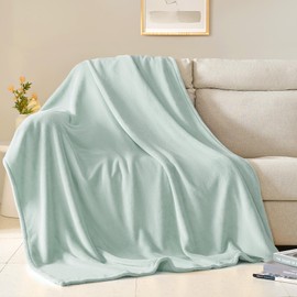 BEAUTEX Fleece Throw Blanket for Couch Sofa or Bed Throw Size, Soft Fuzzy Plush Blanket, Luxury Flannel Lap Blanket, Super Cozy and Comfy for All Seasons (50" x 60",Mint)