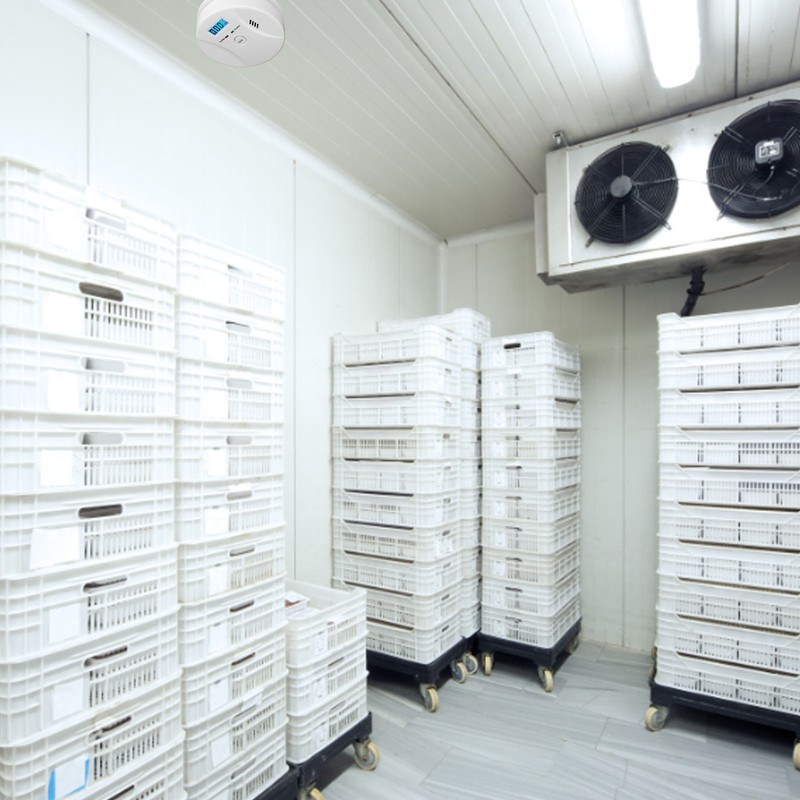 Smoke Detector Strong Sensitivity Fire Alarm Intelligent Detection LCD Display