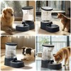 Gardner Pet Automatic Dog Water Dispenser Gravity Stainless Steel Water