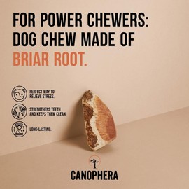 Briar Root Chews - Nearly Indestructible Wood Chews for Dogs - Size: Medium (up to 45lbs)