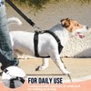 SlowTon Dog Car Vest Harness Multifunction Adjustable Double-Ring Breathable Mesh