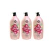 Shower Mate Fresh Body Wash Cranberry 1.2kg 3pcs / 샤워메이트 프레시 바디워시 크랜베리1.2kg 3개
