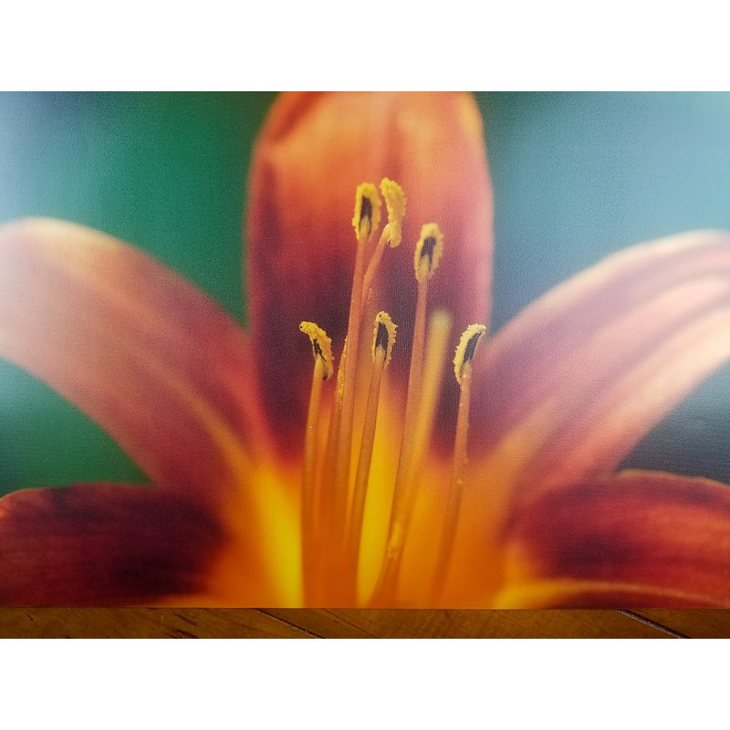 8.5" X 11" Canvas Textured Premium Inkjet Photo Paper -