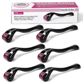 6PCS Rodillo Facial,0.25MM/0.5MM/0.75MM/1MM/1.5MM/2MM,Facial Para Herramientas Rodillo Para Rostro Herramientas, Adecuado para Masajes Facialesy Capil