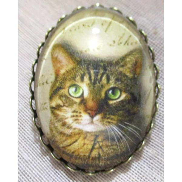 XL GLASS DOME PICTURE BUTTON PATIENT TABBY CAT WAITING ON