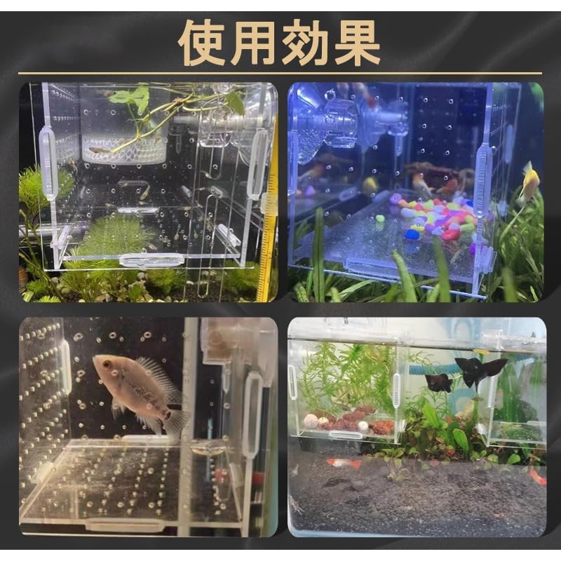 Acrylic Isolation Box, Aquarium Divider, Medaka Box, Fry Isolation Case,