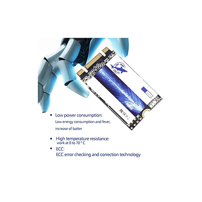 Dogfish SSD M.2 2242 250GB Solid State Drive Ngff Internal