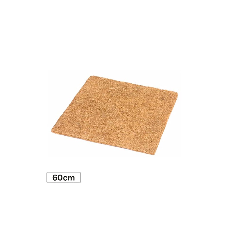 Takasho Palm Mat Square Sheet, 23.6 inches (60 cm)