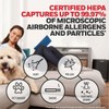 Honeywell HEPA Air Purifier Filter R, 1-Pack for HPA 100/200/300,