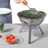 Bodum Fyrkat Portable Picnic Charcoal Grill