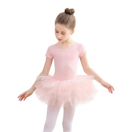 EASTBUDDY Ballet Dress for Girls,Toddler Dance Leotard with Tutu Skirt Short Sleeve Ballerina Outfit (Pink-Open Crotch with Snaps/2-3 Years)
