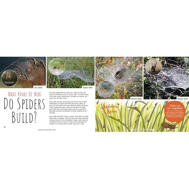 Scurry! The Truth About Spiders| Full of Fun Facts, Photographs,