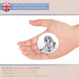 Destination Vinyl ltd Magnet for Refrigerator, Fridge BW - Beagle Dog Pet Puppy Cute Animal for Office, Cabinet and Whiteboard, Magnetic Stickers, 42378