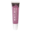 Burt's Bees Lip Shine, Flutter, 0.5 Ounce (1 Count)