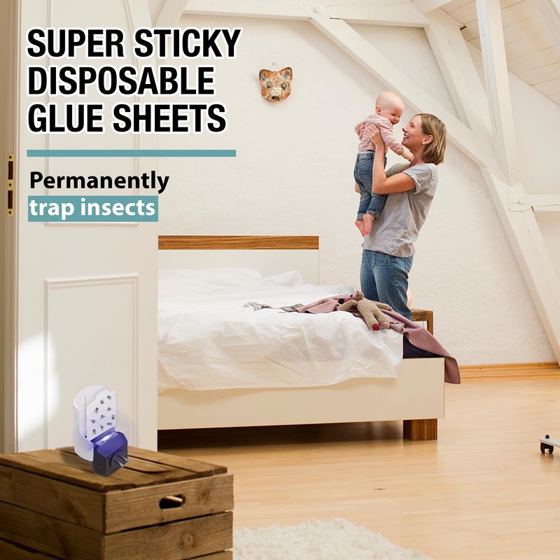 Plug-in Flying Insect Glue Trap - LED and UV Attractant