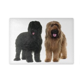 Chopping Board / Glass Chopping Board 20 x 28 x 0.4 cm Briard Two Animals Black and Brown 01