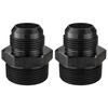 EVIL ENERGY 16AN Male Flare to 1-1/4" NPT Pipe Fitting
