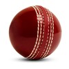 SialPro Soft Cricket Rubber Ball Set Indoor/Outdoor for Junior Youth