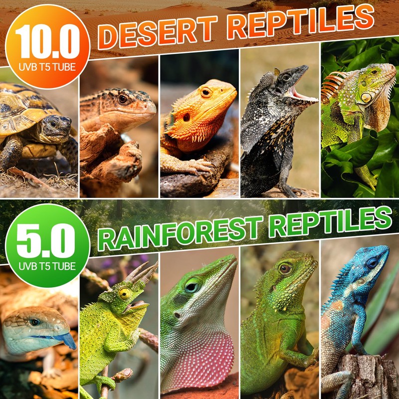 REPTI ZOO UVB Reptile Light, New Version T5 HO UVB