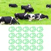 Haofy Pack of 20 Cow Nose Spikes, Milk Sucking Preventor,