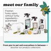 Poo-Pourri Before-You-Go Toilet Spray, Original Citrus, 8 Fl Oz, Up