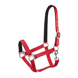 Start Adjustable Horse Headcollar - Nylon Headcollar with Padding - Sizes: Pony, Cob, Warmblood - Comfortable & Robust - Horse Halter for Stable & Pasture (Red, Full)