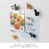 Midori 43427006 Mini Magnets, Set of 6, Cat Pattern